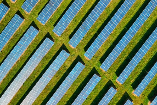 Zonnepanelen met stekker: zelf stroom maken via het stopcontact