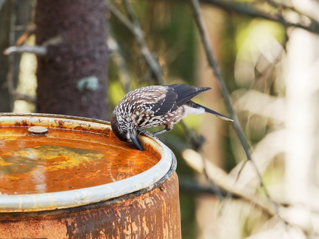 De juiste hoeveelheid spots: zo creëer je perfect licht in de badkamer