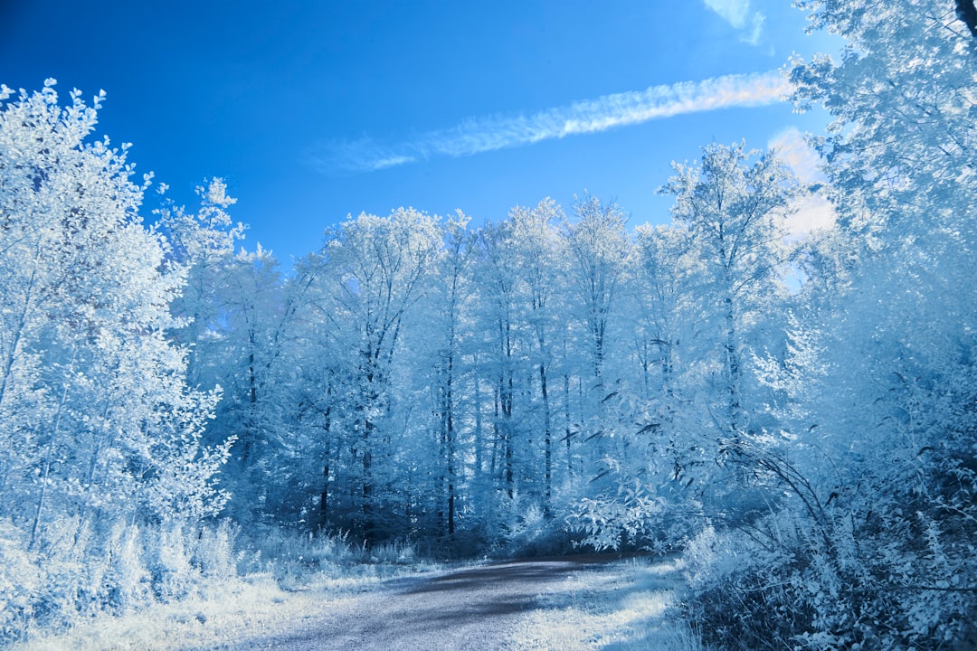 De werking van infrarood verwarming: Warmte op een andere manier