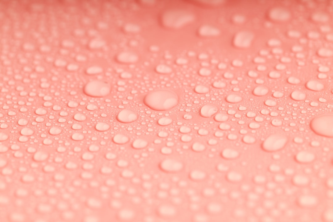 Vochtigheidsreguleraar: zo bewaar je je droogwaar in perfecte conditie