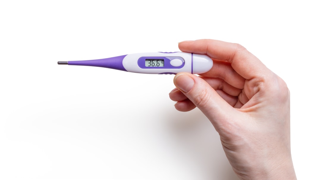 Altijd perfect gaar: alles over de voedselthermometer