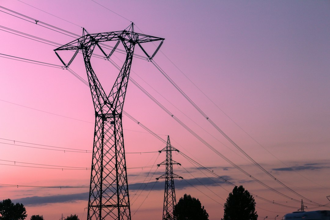 Hoeveel watt voor je magnetron? Dit zijn de juiste instellingen